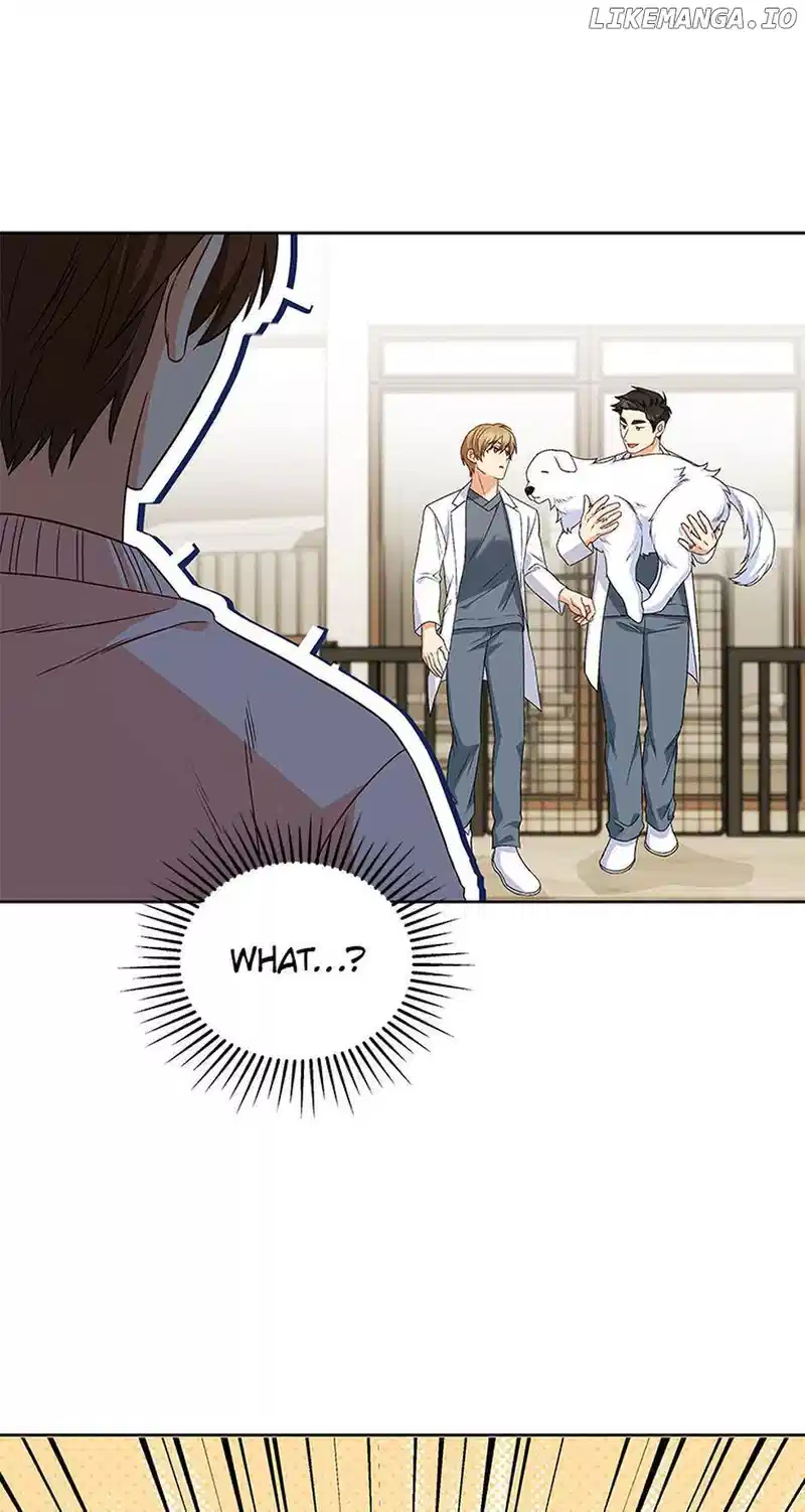 Hello! Veterinarian! Chapter 22 - Page 62