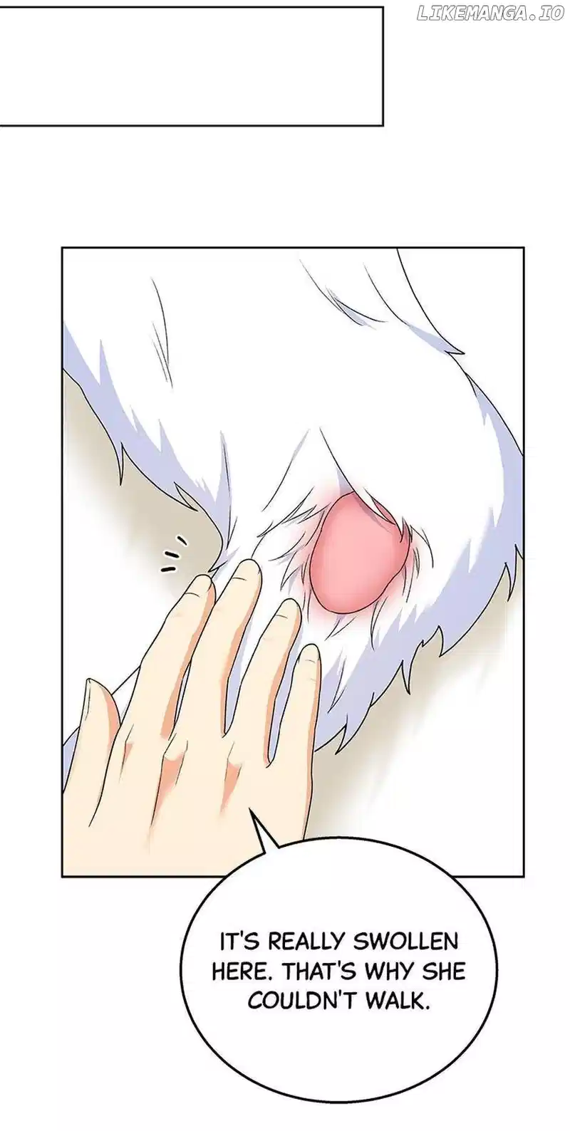 Hello! Veterinarian! Chapter 23 - Page 6