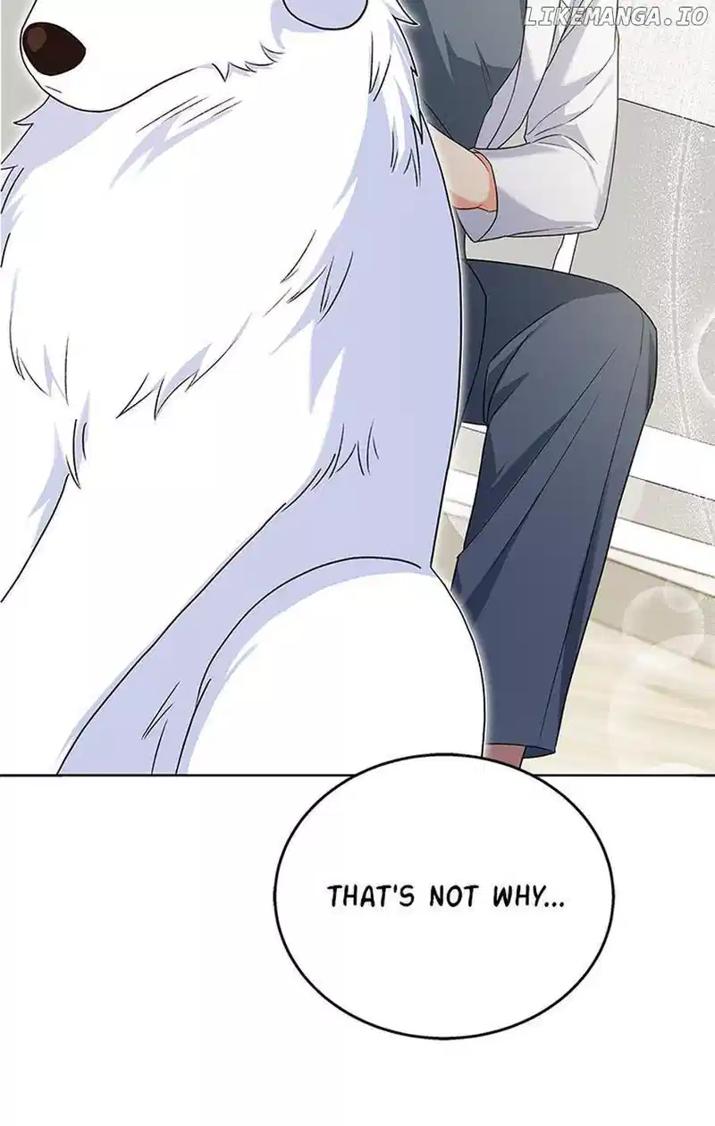 Hello! Veterinarian! Chapter 24 - Page 1
