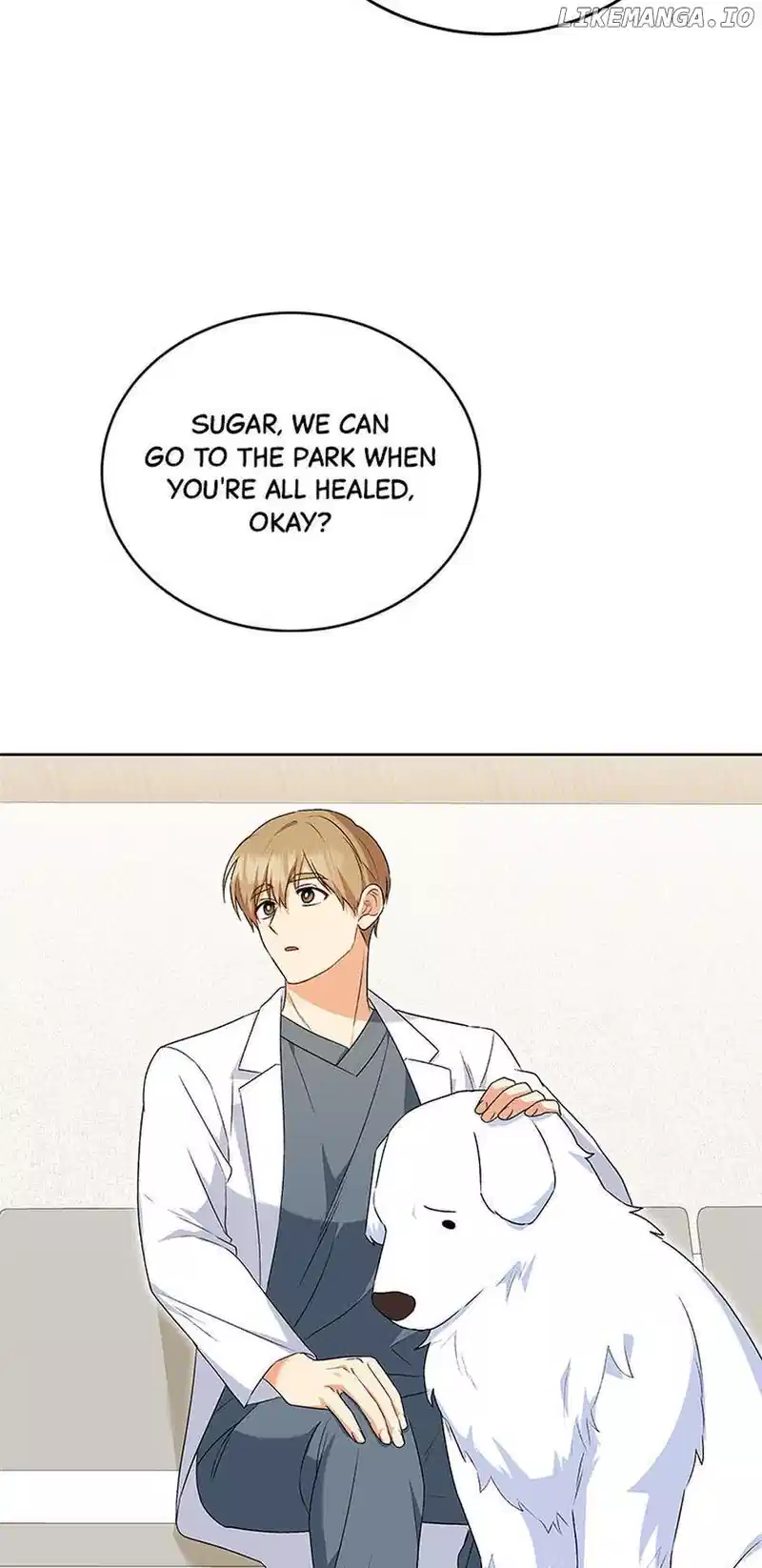 Hello! Veterinarian! Chapter 24 - Page 12