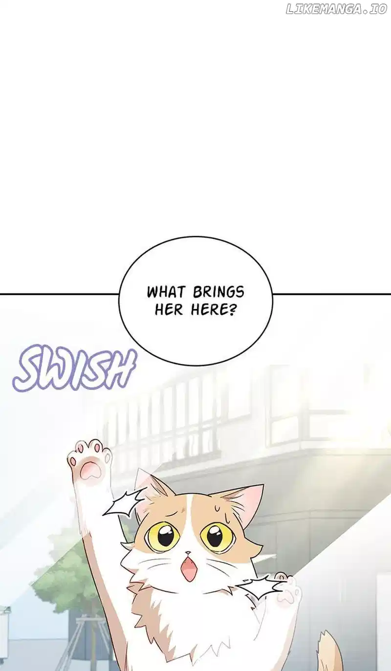 Hello! Veterinarian! Chapter 24 - Page 85