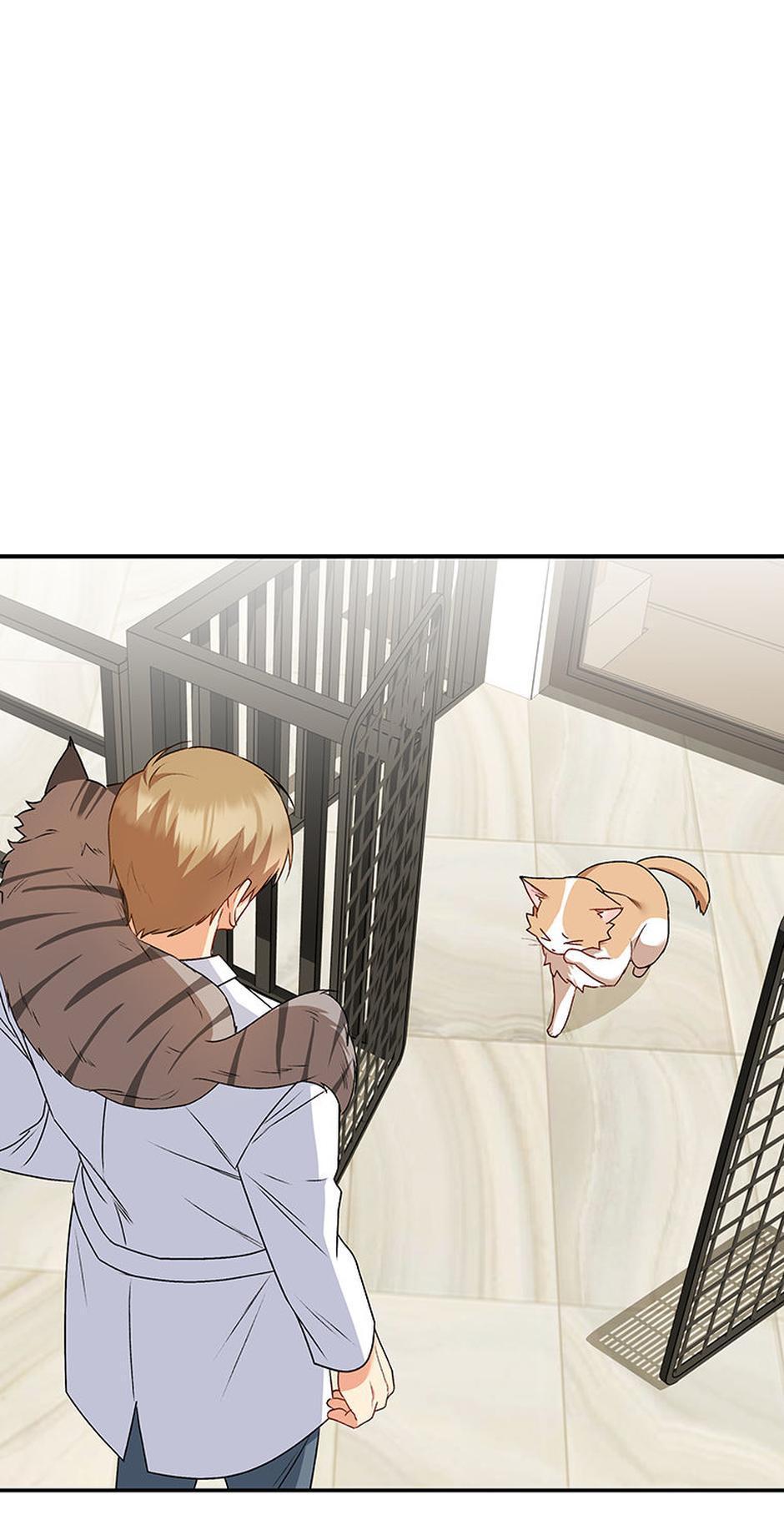 Hello! Veterinarian! Chapter 25 - Page 0