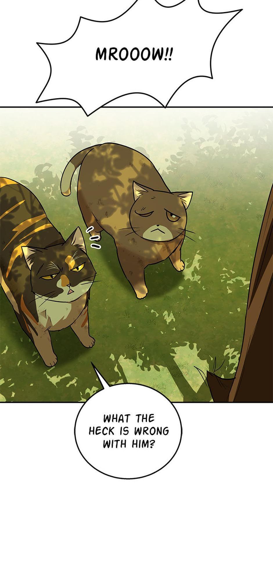 Hello! Veterinarian! Chapter 27 - Page 37