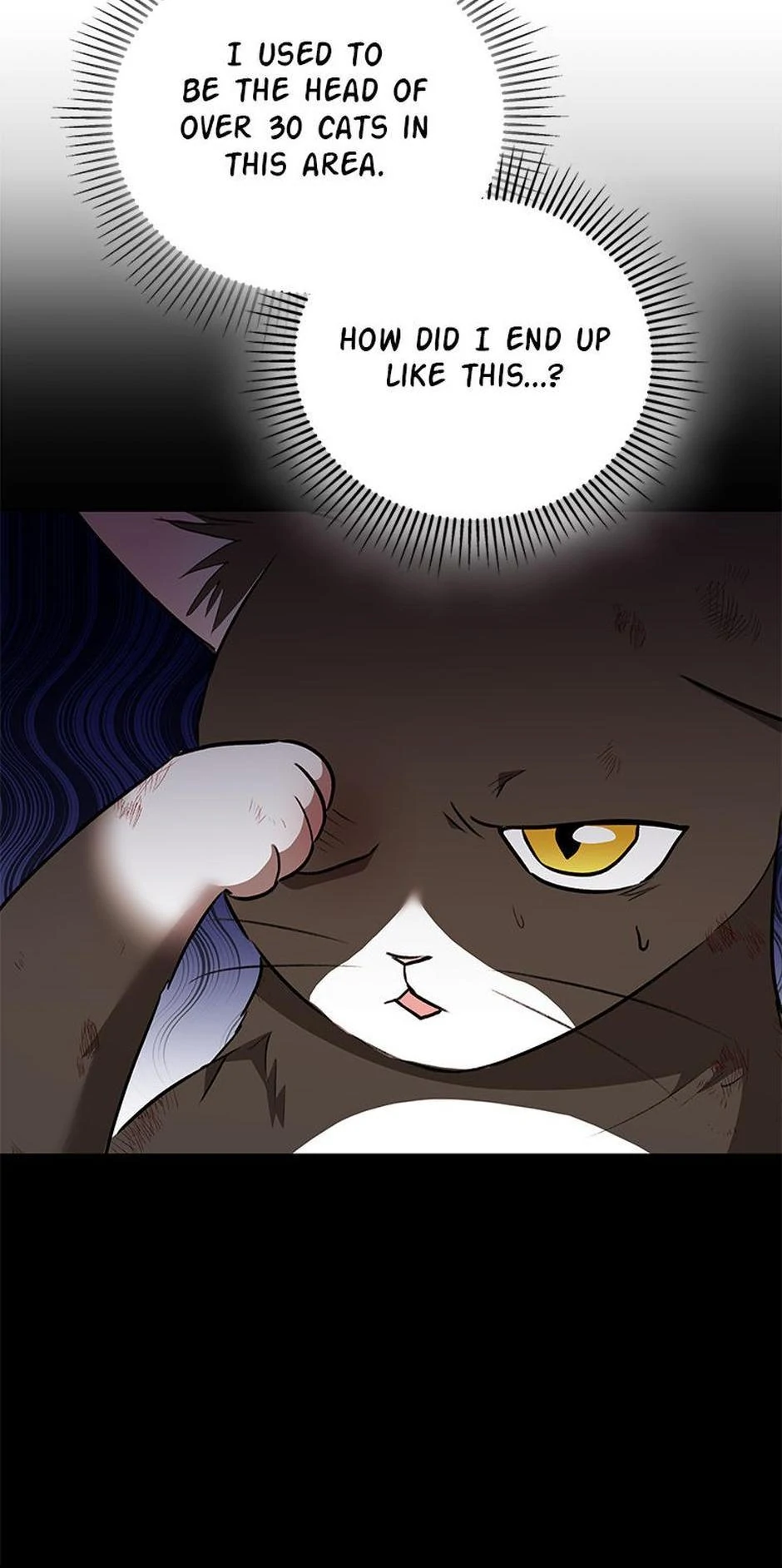 Hello! Veterinarian! Chapter 27 - Page 45