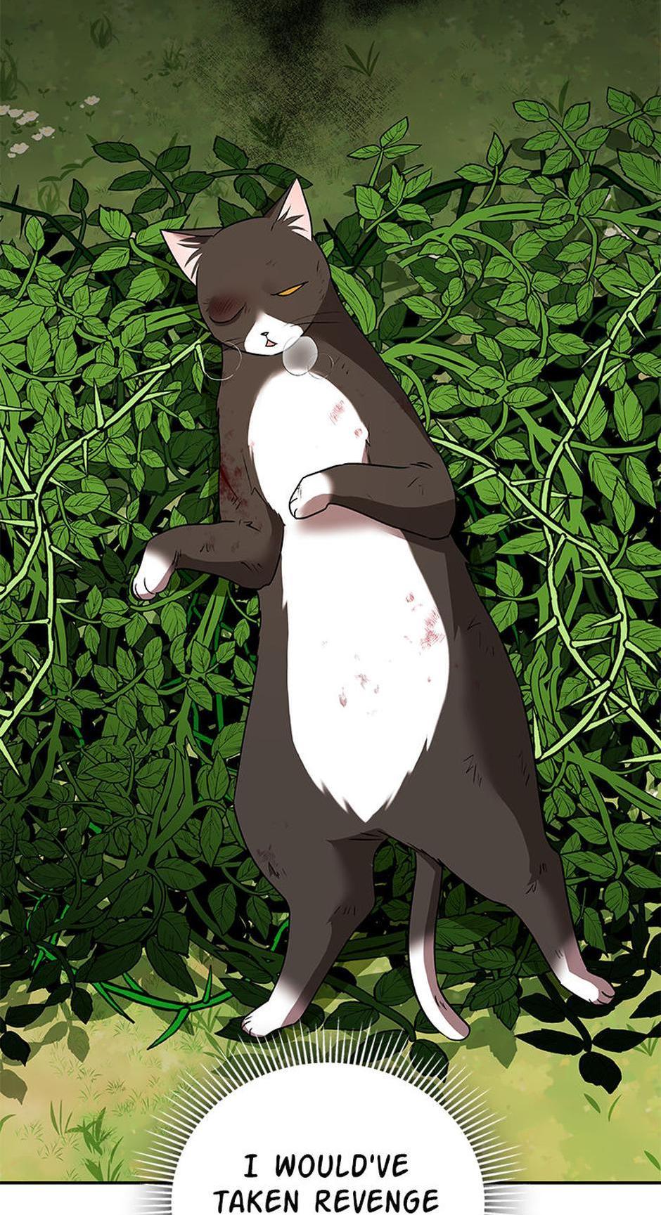 Hello! Veterinarian! Chapter 27 - Page 47