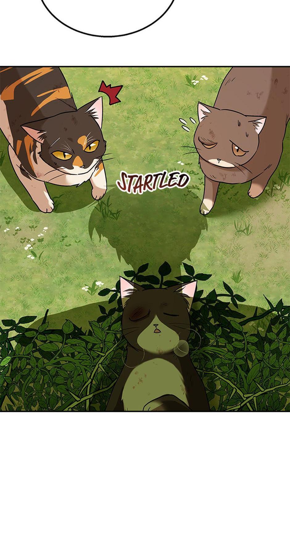 Hello! Veterinarian! Chapter 27 - Page 50