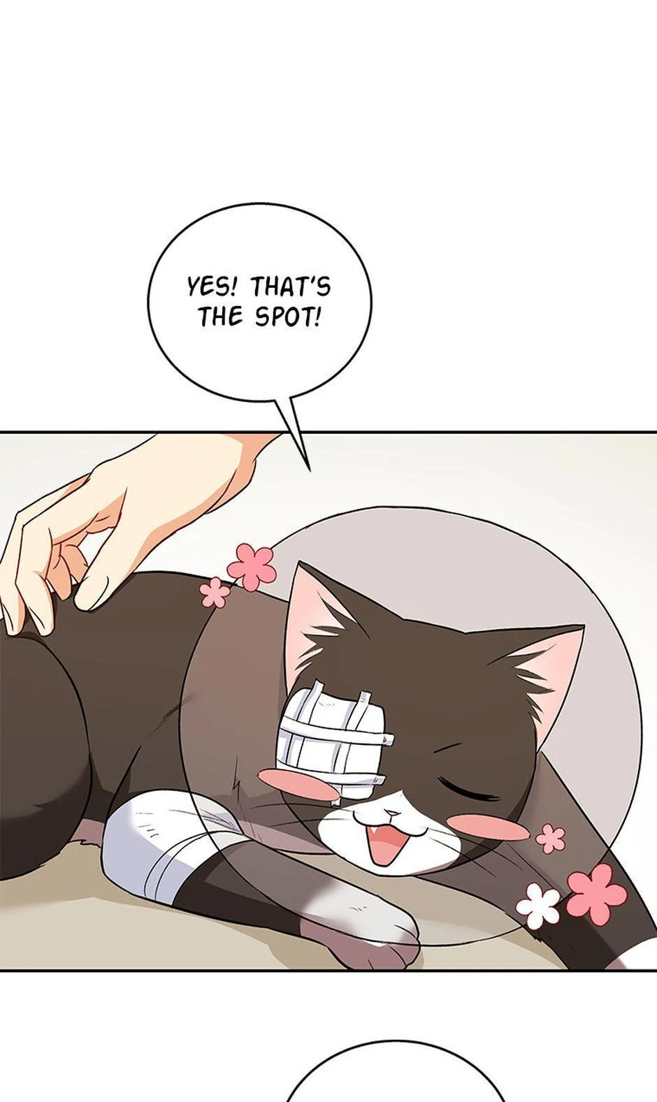 Hello! Veterinarian! Chapter 27 - Page 64