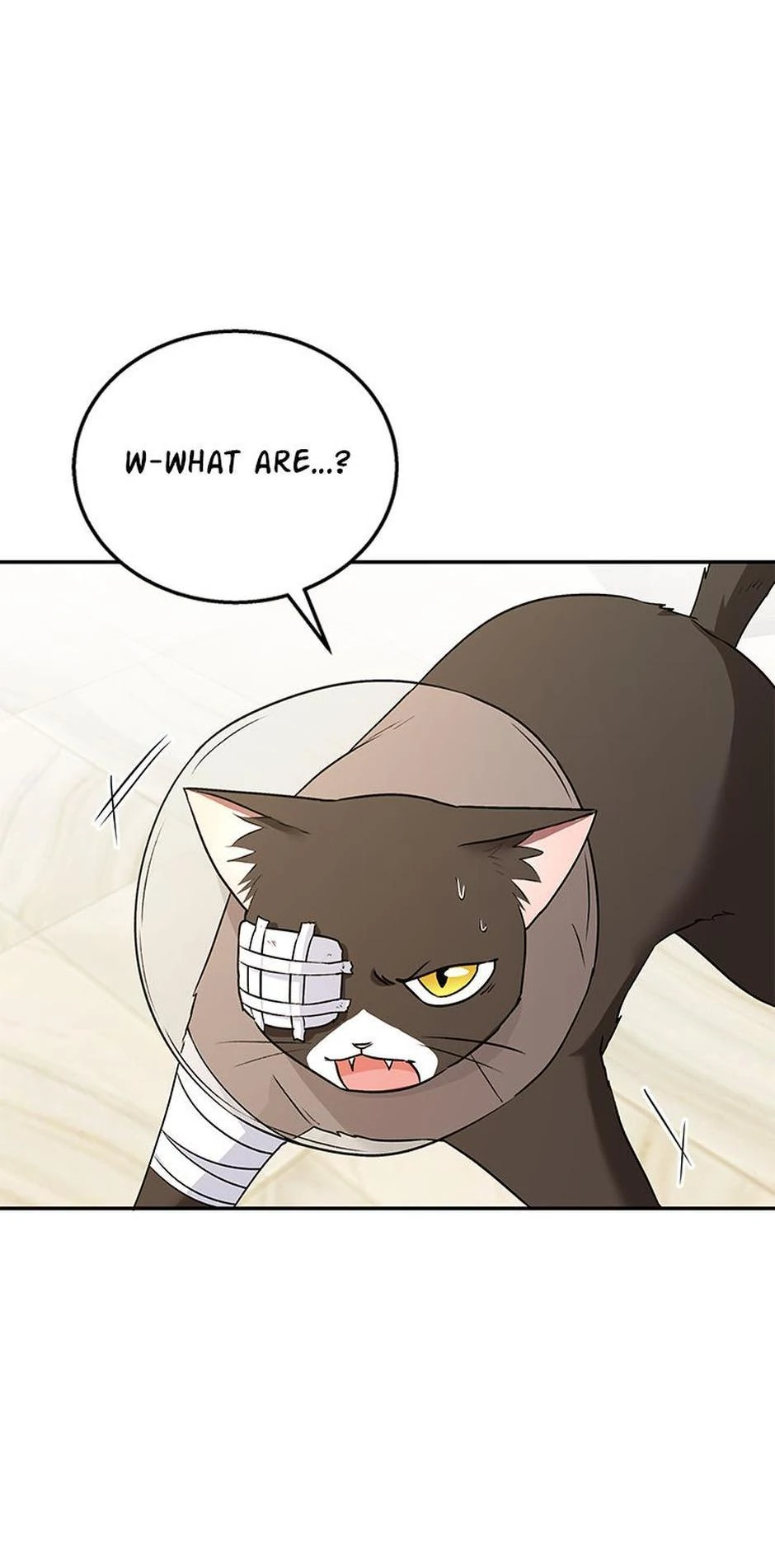 Hello! Veterinarian! Chapter 27 - Page 70