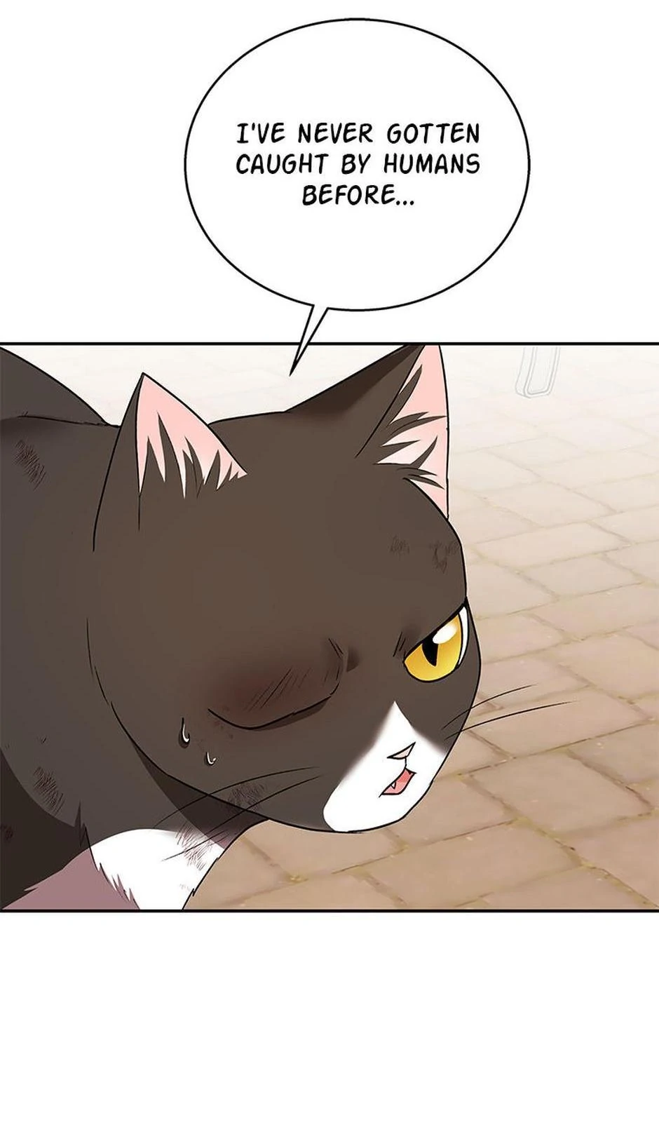 Hello! Veterinarian! Chapter 27 - Page 8