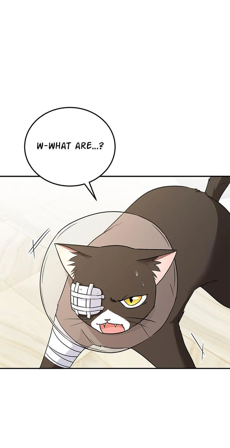 Hello! Veterinarian! Chapter 28 - Page 0