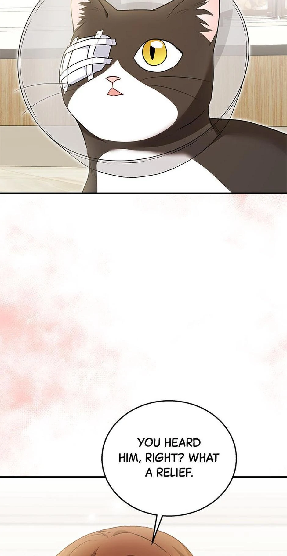 Hello! Veterinarian! Chapter 28 - Page 13