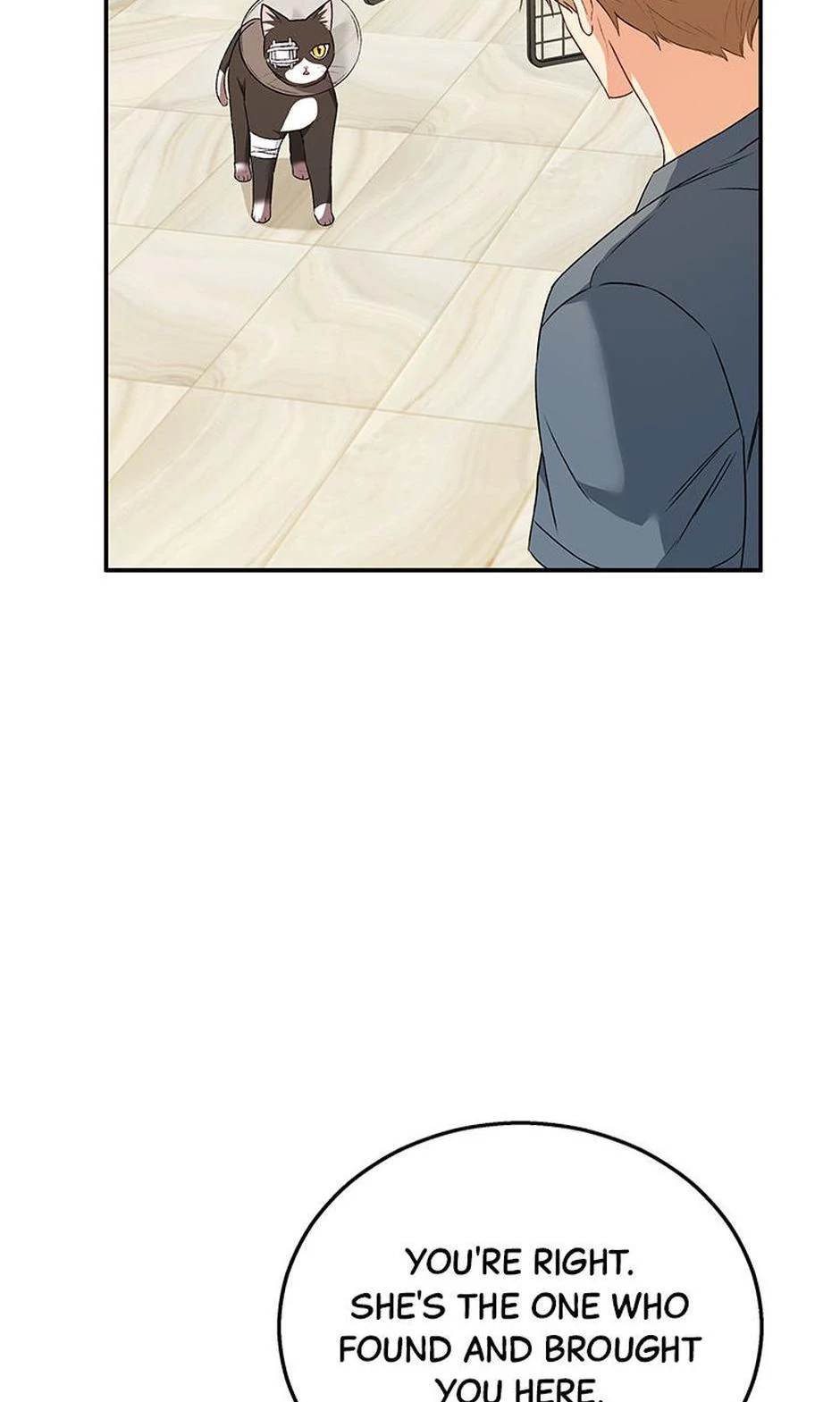 Hello! Veterinarian! Chapter 28 - Page 17