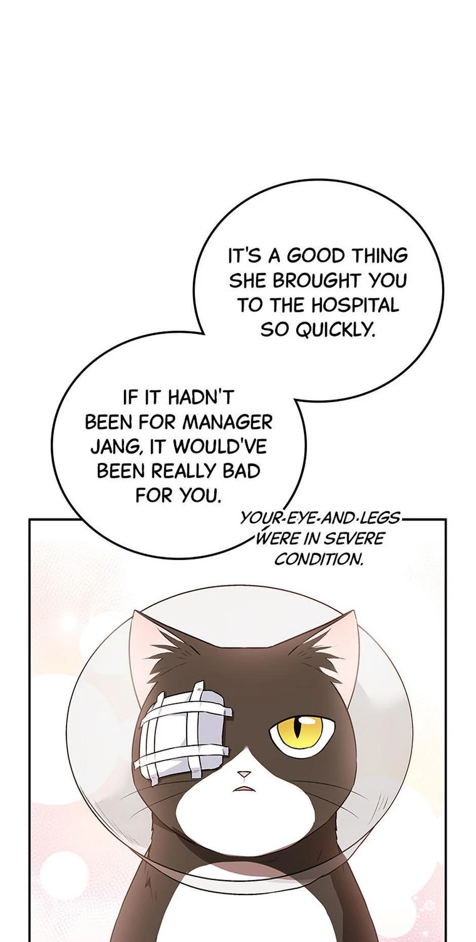 Hello! Veterinarian! Chapter 28 - Page 19
