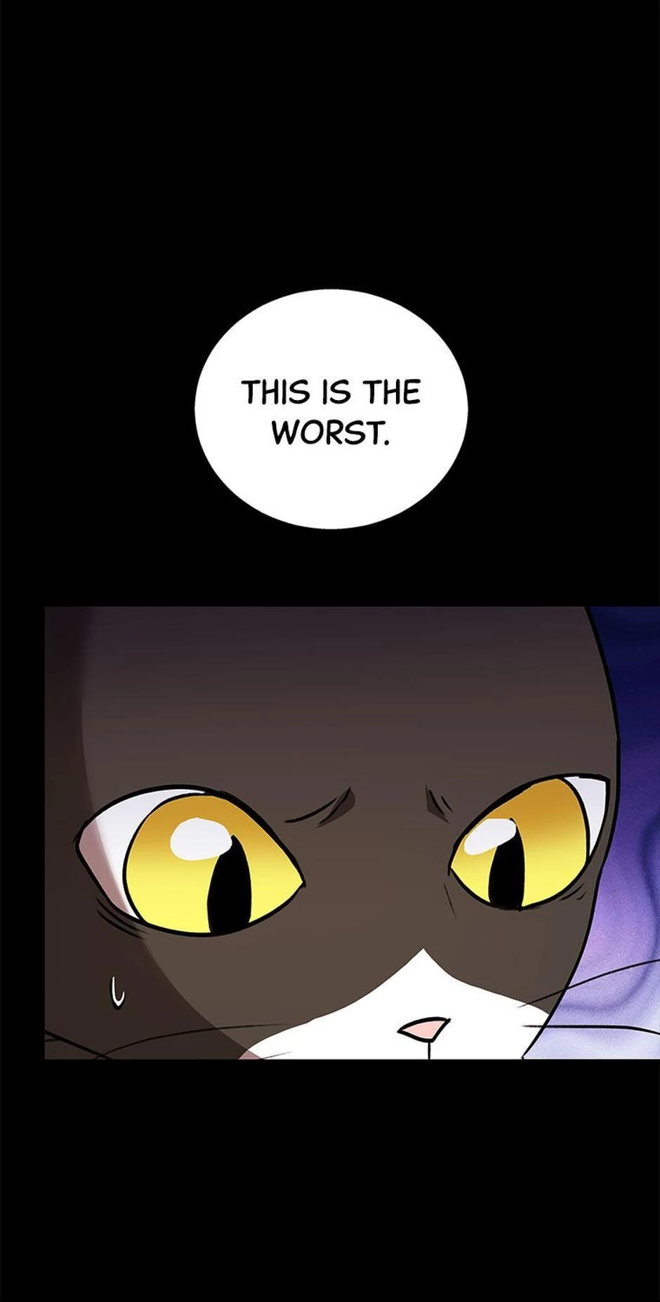 Hello! Veterinarian! Chapter 28 - Page 25