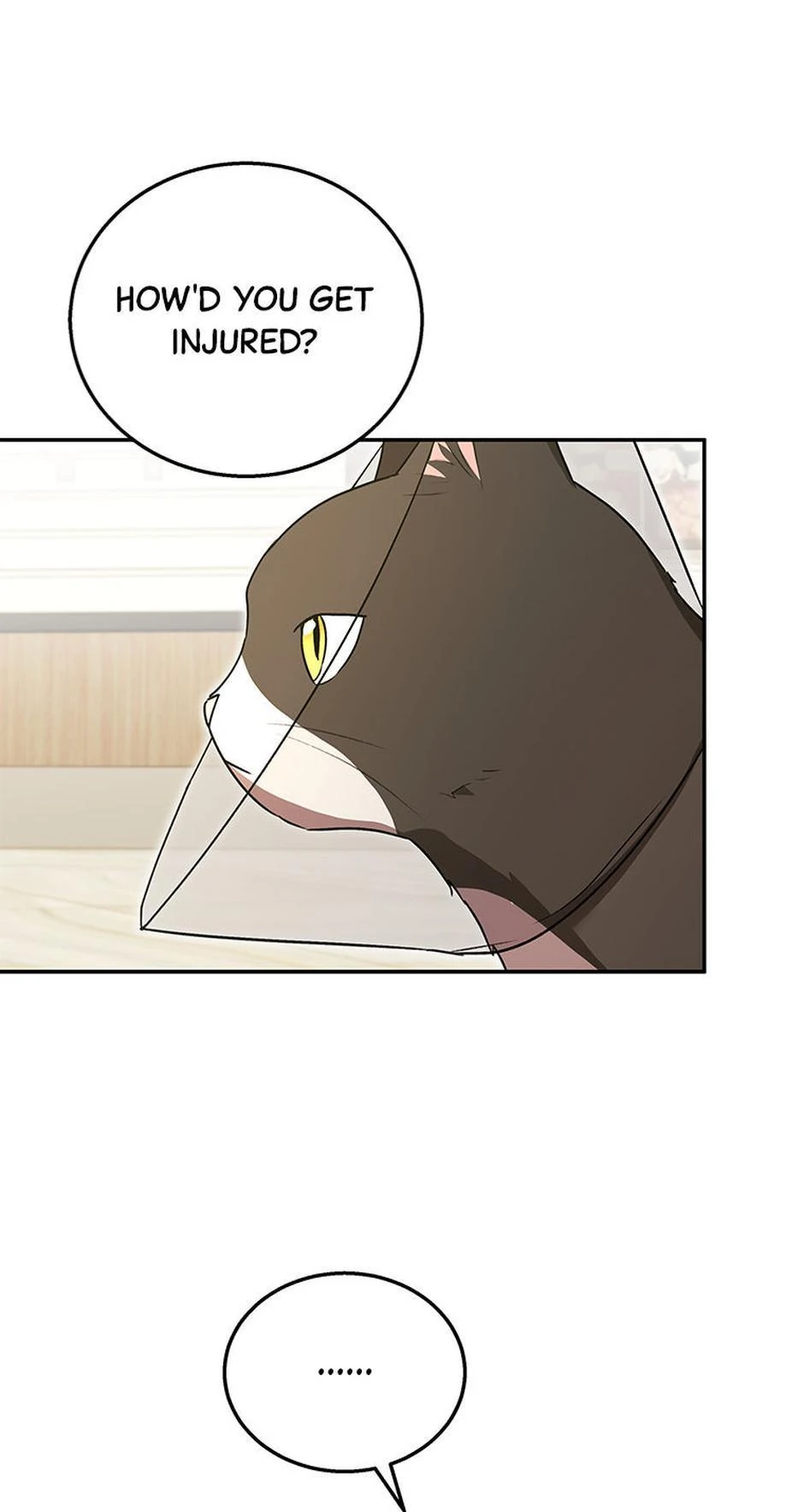 Hello! Veterinarian! Chapter 28 - Page 35