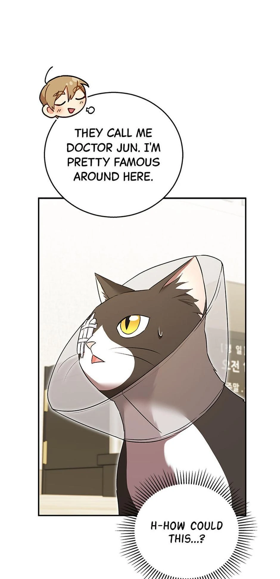 Hello! Veterinarian! Chapter 28 - Page 5