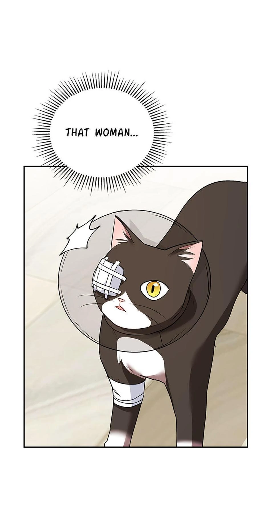 Hello! Veterinarian! Chapter 28 - Page 9