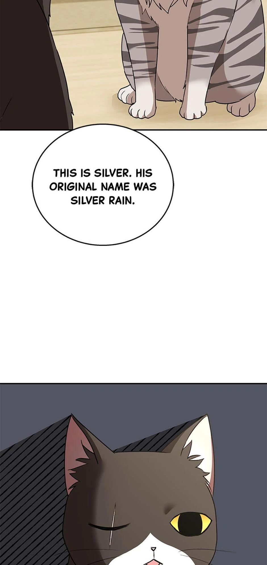 Hello! Veterinarian! Chapter 30 - Page 32