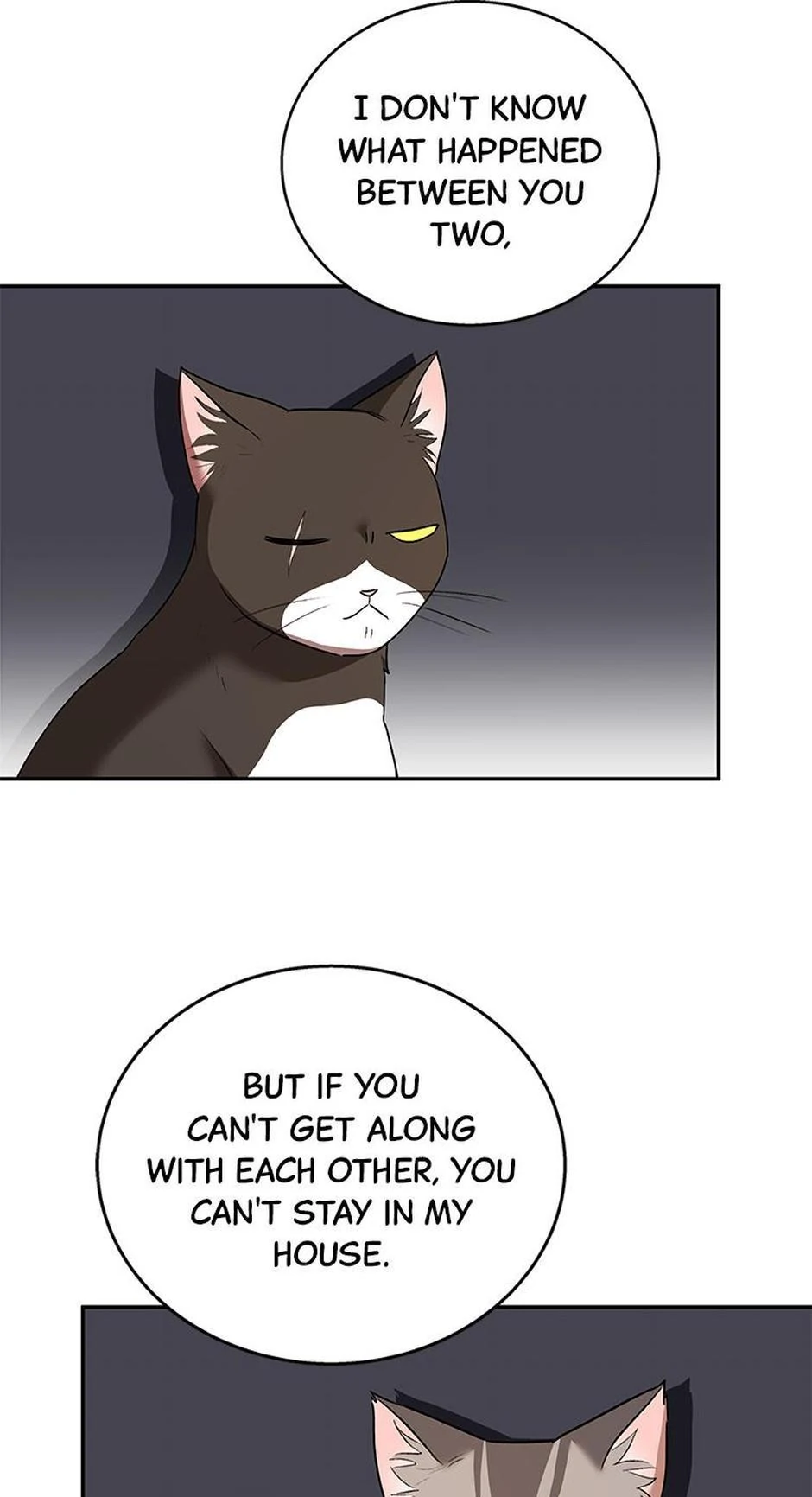 Hello! Veterinarian! Chapter 30 - Page 49