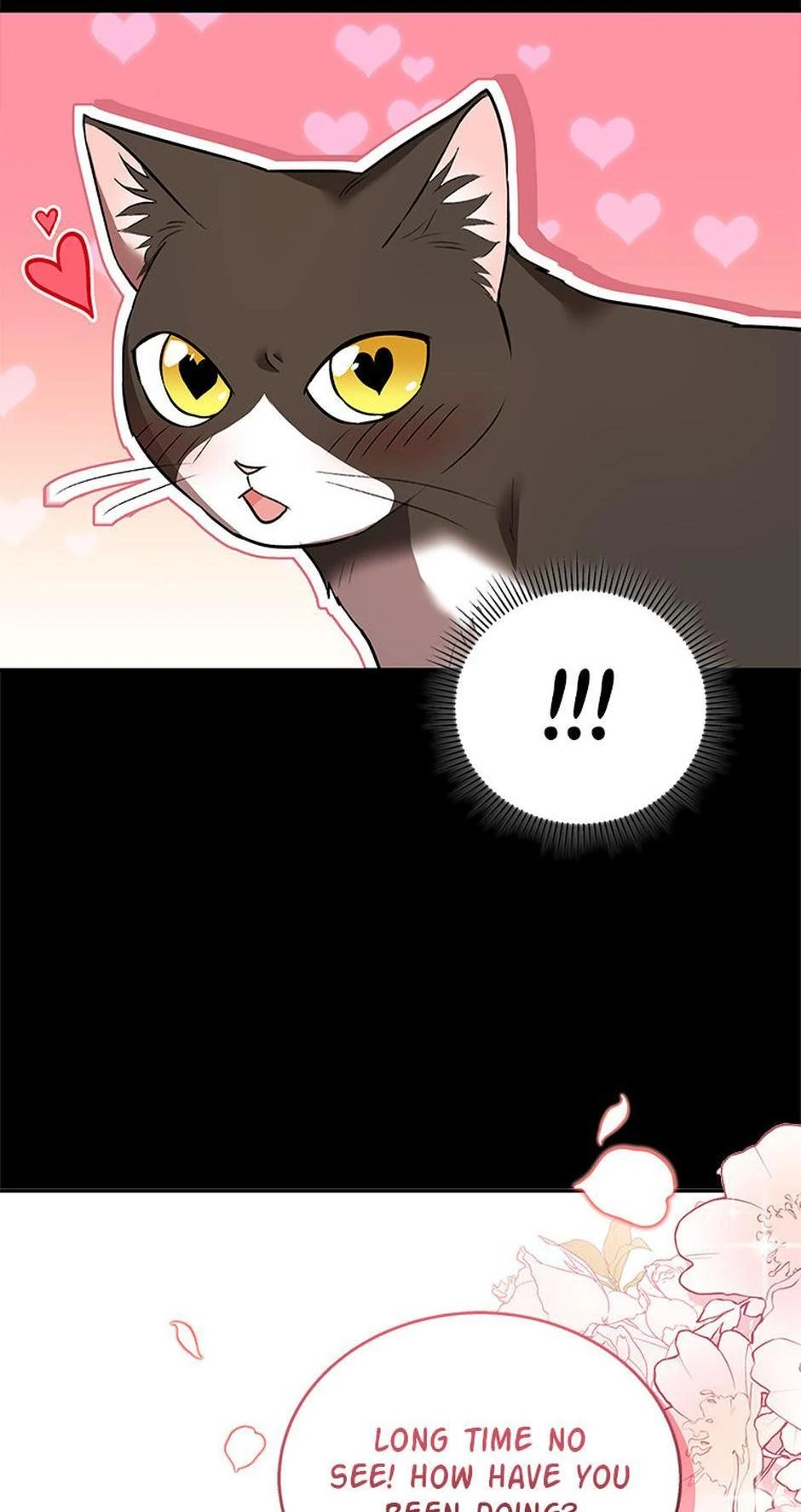 Hello! Veterinarian! Chapter 30 - Page 62