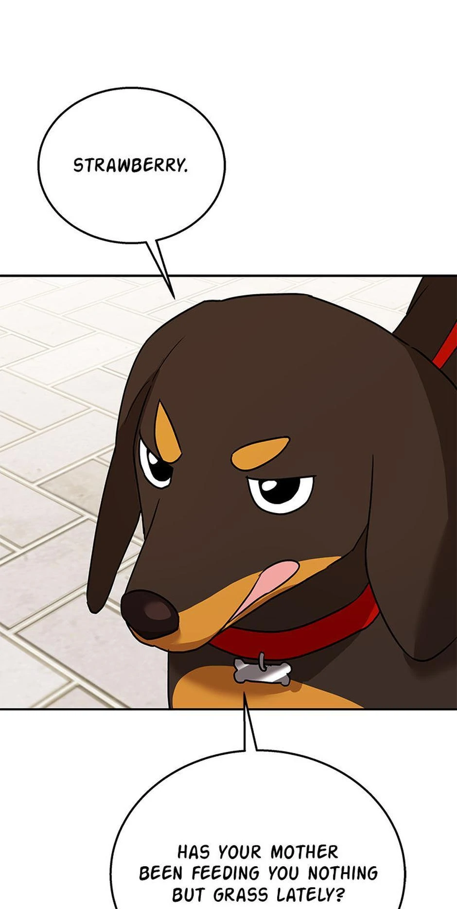 Hello! Veterinarian! Chapter 32 - Page 30