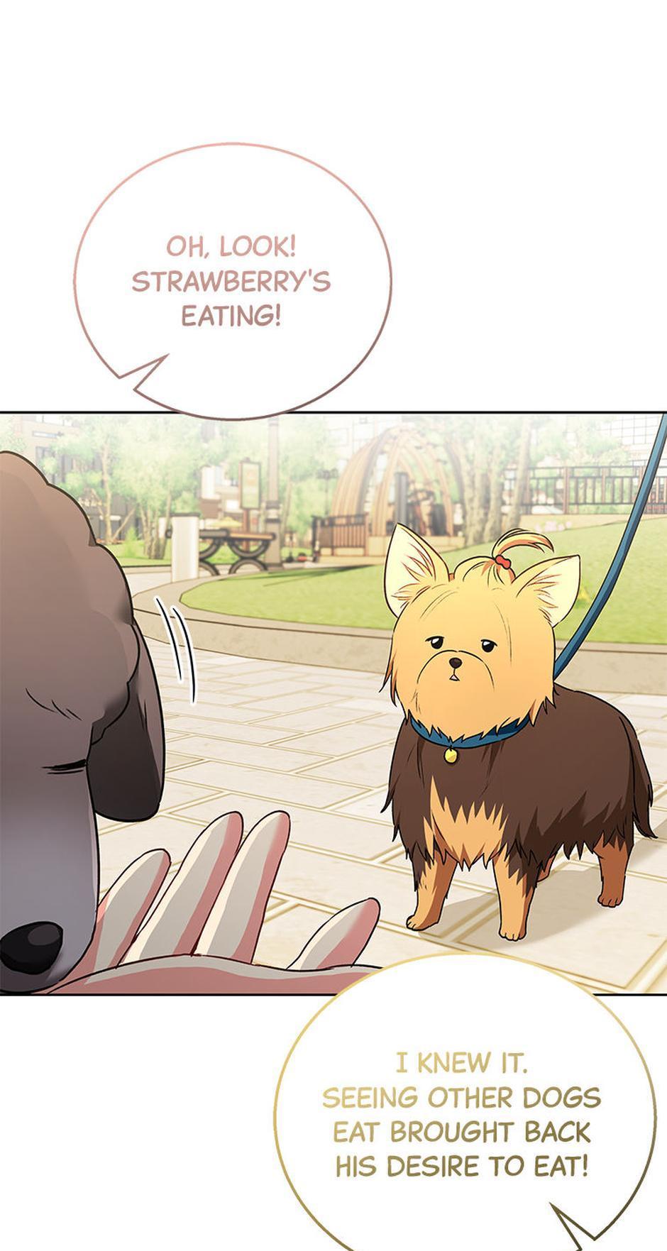 Hello! Veterinarian! Chapter 32 - Page 70