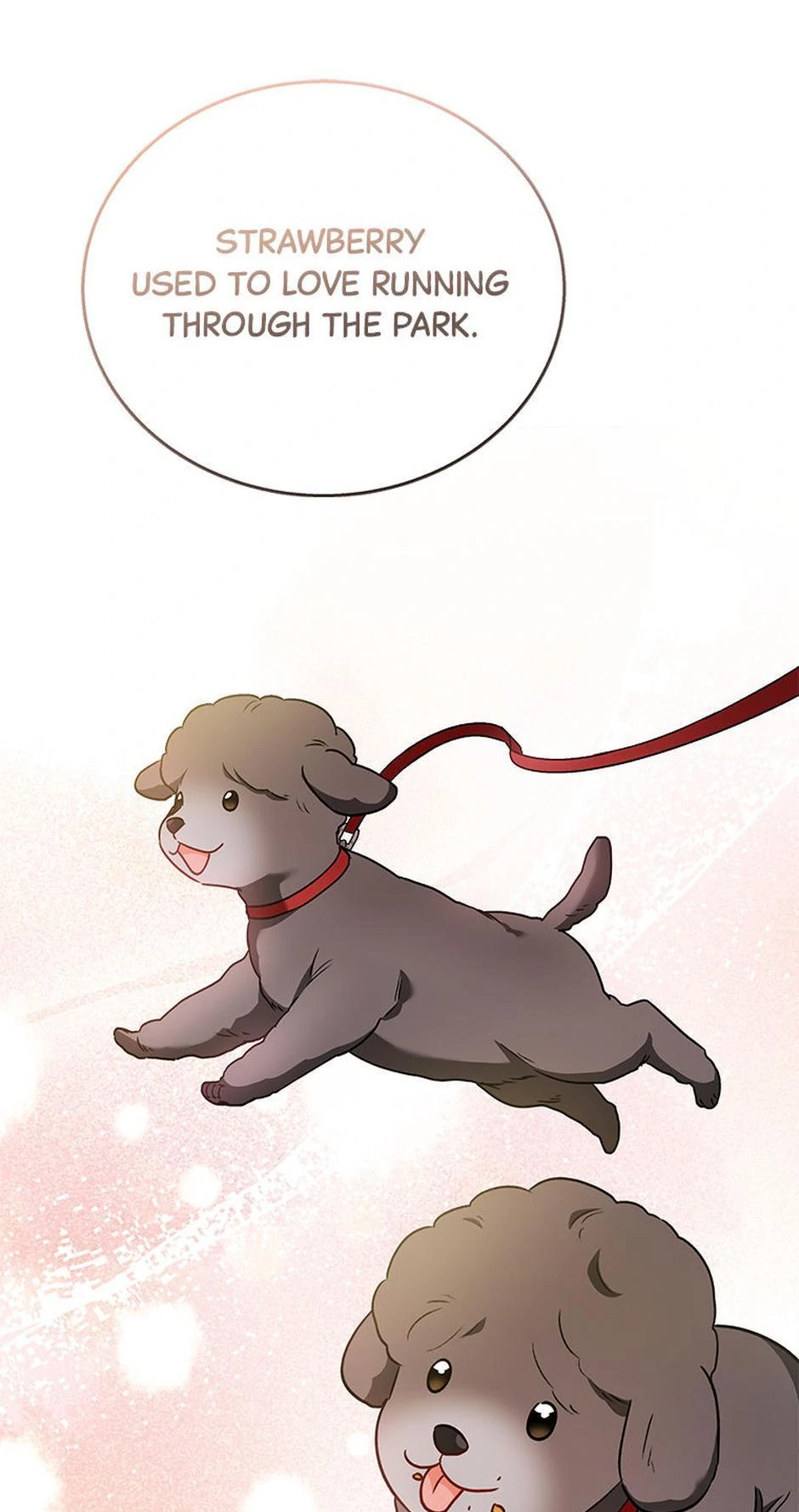 Hello! Veterinarian! Chapter 33 - Page 6