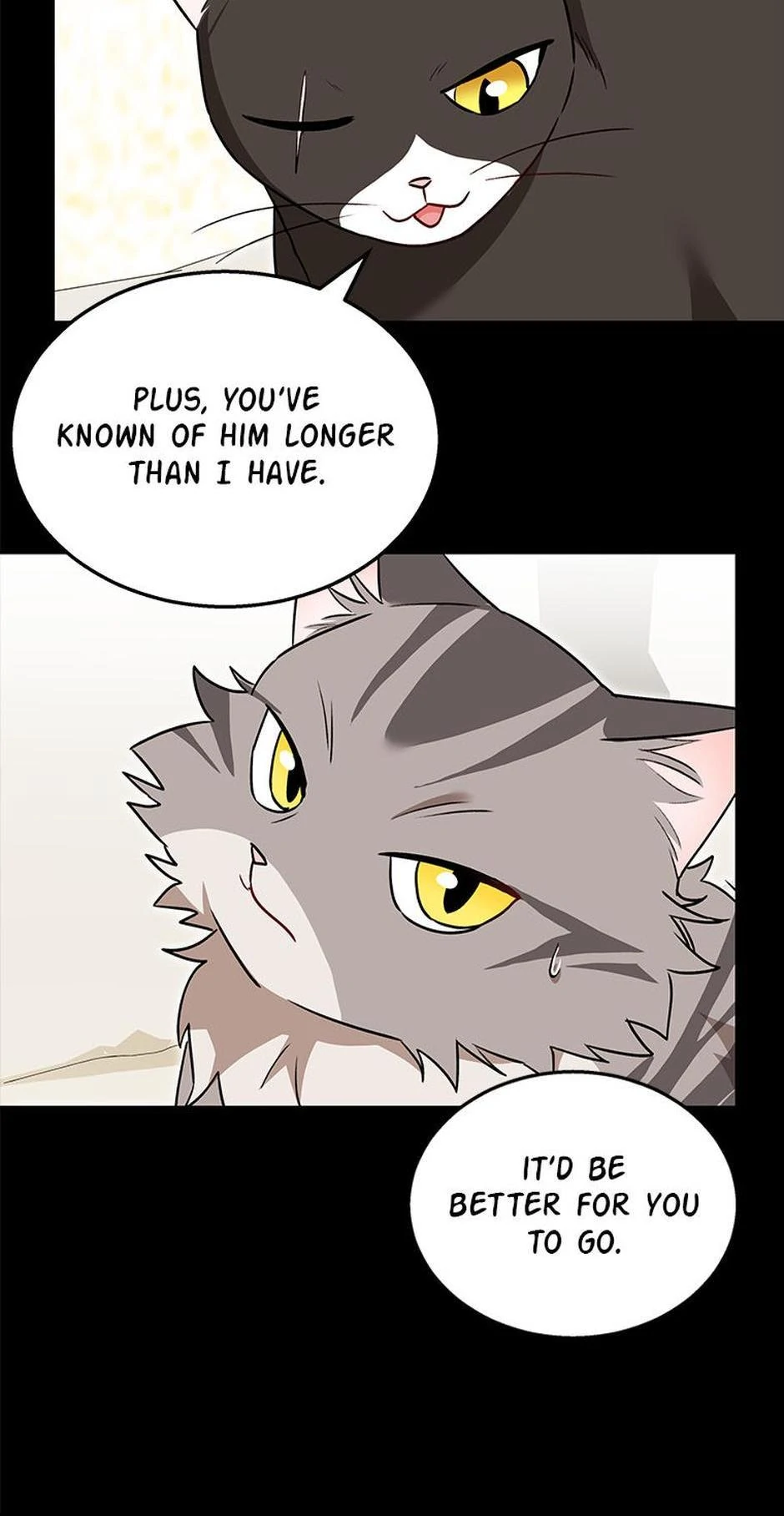 Hello! Veterinarian! Chapter 35 - Page 13