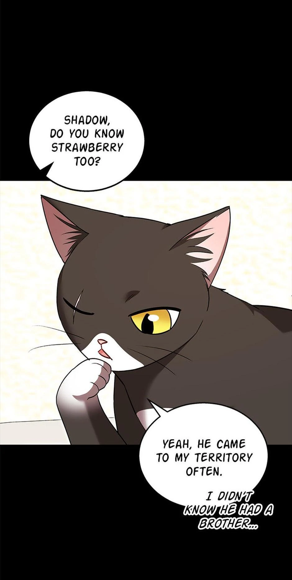 Hello! Veterinarian! Chapter 35 - Page 2
