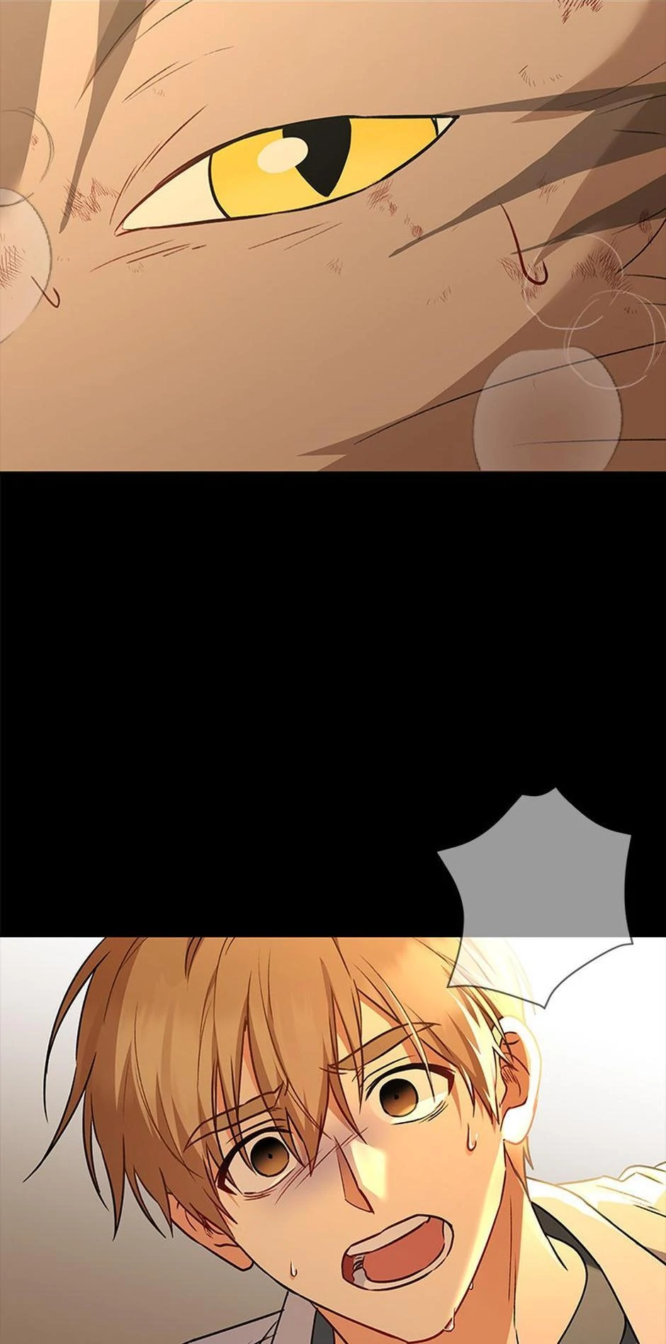 Hello! Veterinarian! Chapter 35 - Page 39