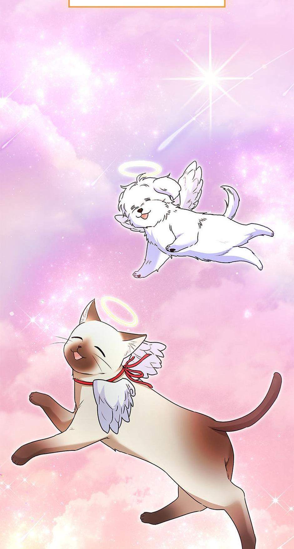 Hello! Veterinarian! Chapter 35 - Page 77
