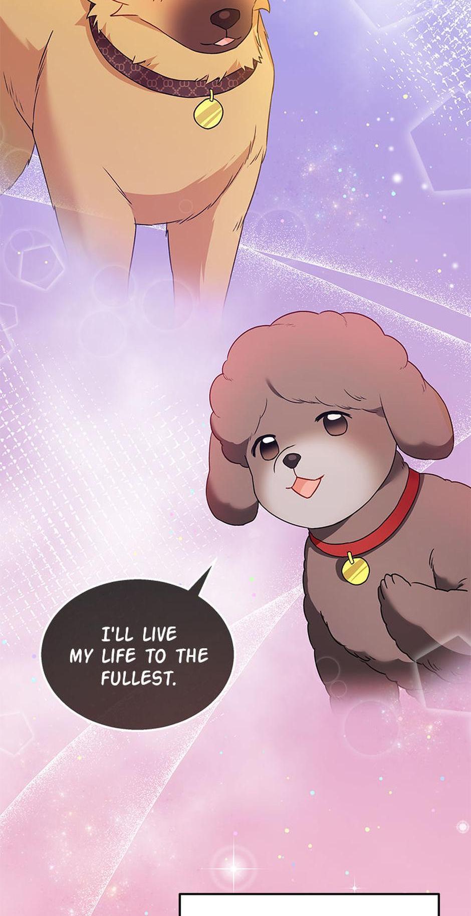 Hello! Veterinarian! Chapter 36 - Page 1