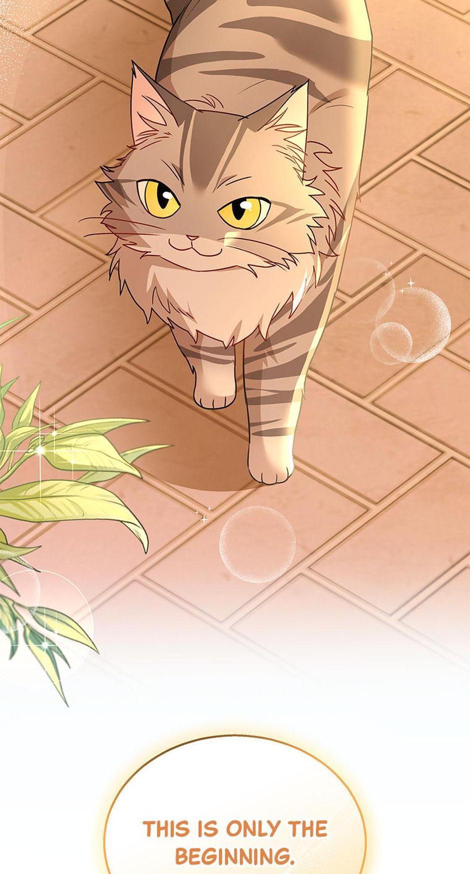 Hello! Veterinarian! Chapter 37 - Page 68