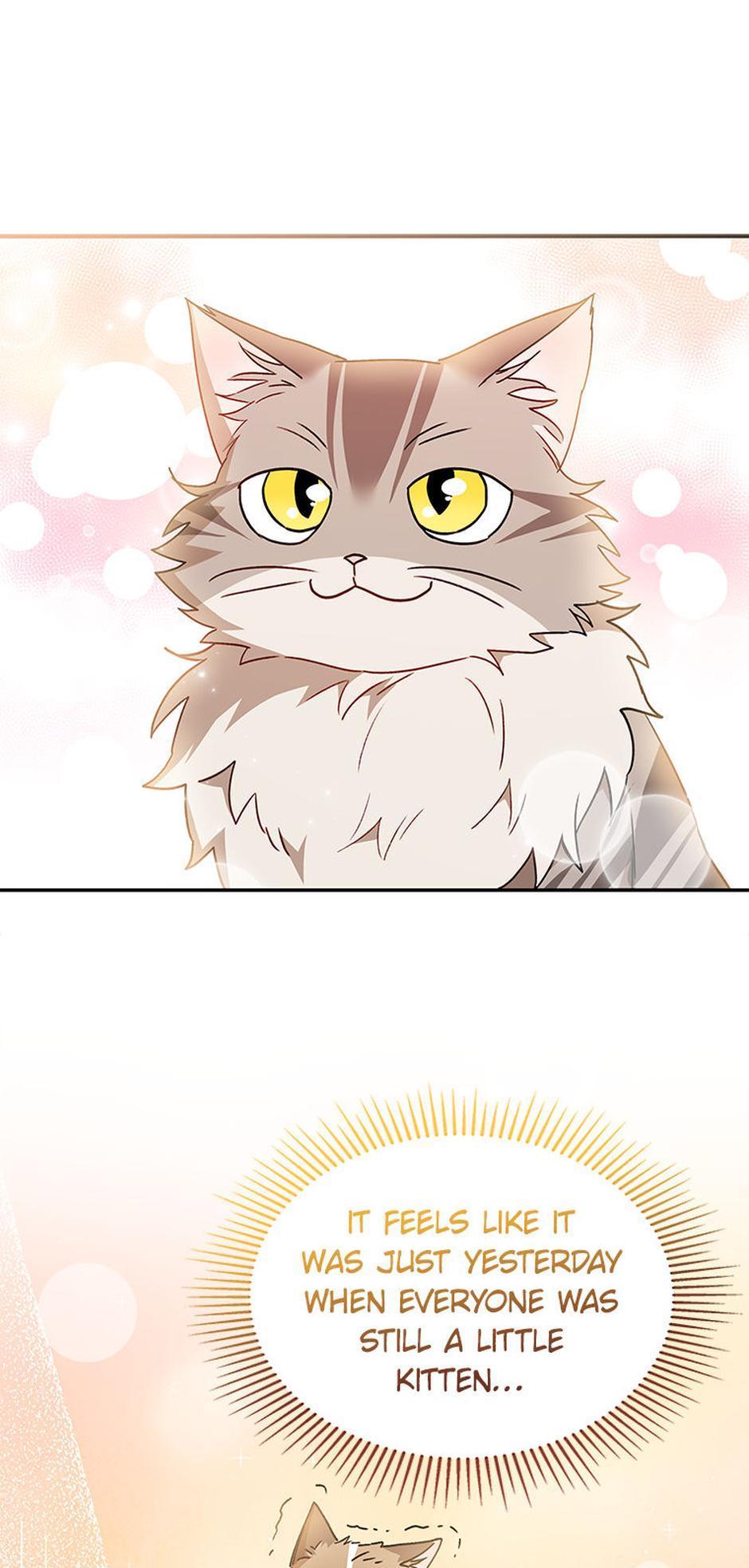 Hello! Veterinarian! Chapter 38 - Page 41