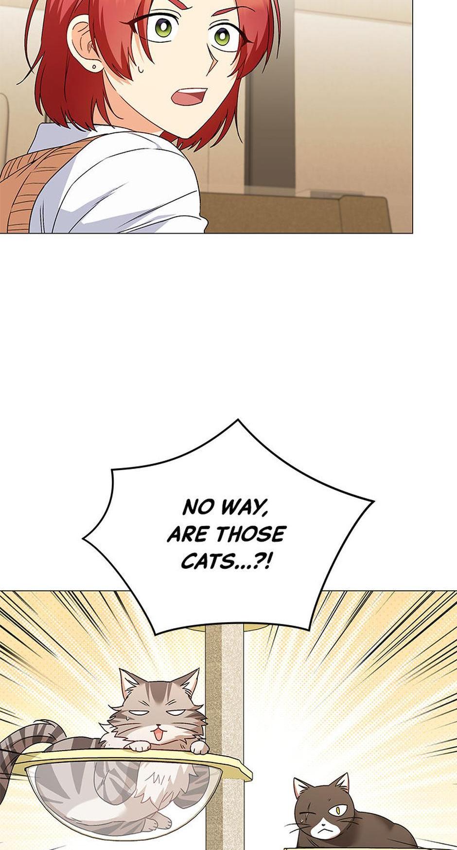 Hello! Veterinarian! Chapter 39 - Page 52
