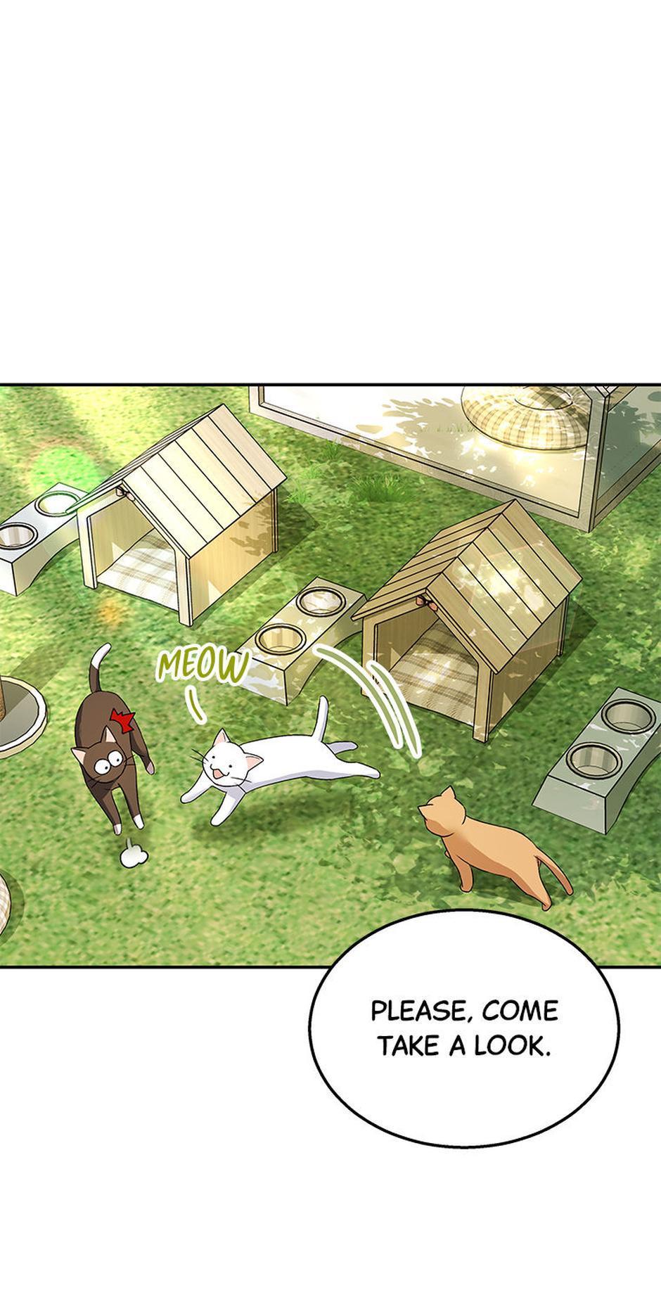 Hello! Veterinarian! Chapter 40 - Page 25