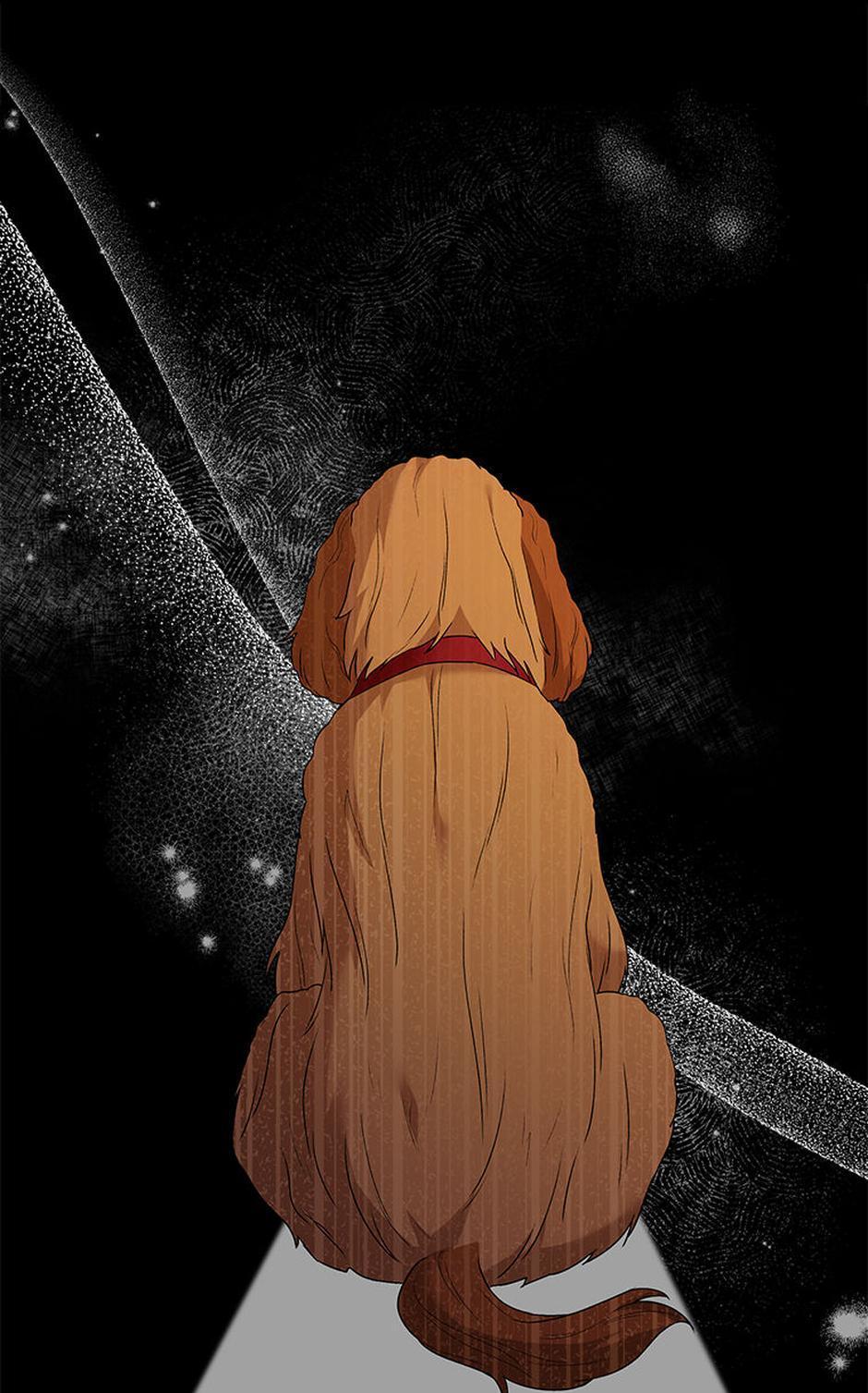 Hello! Veterinarian! Chapter 42 - Page 49