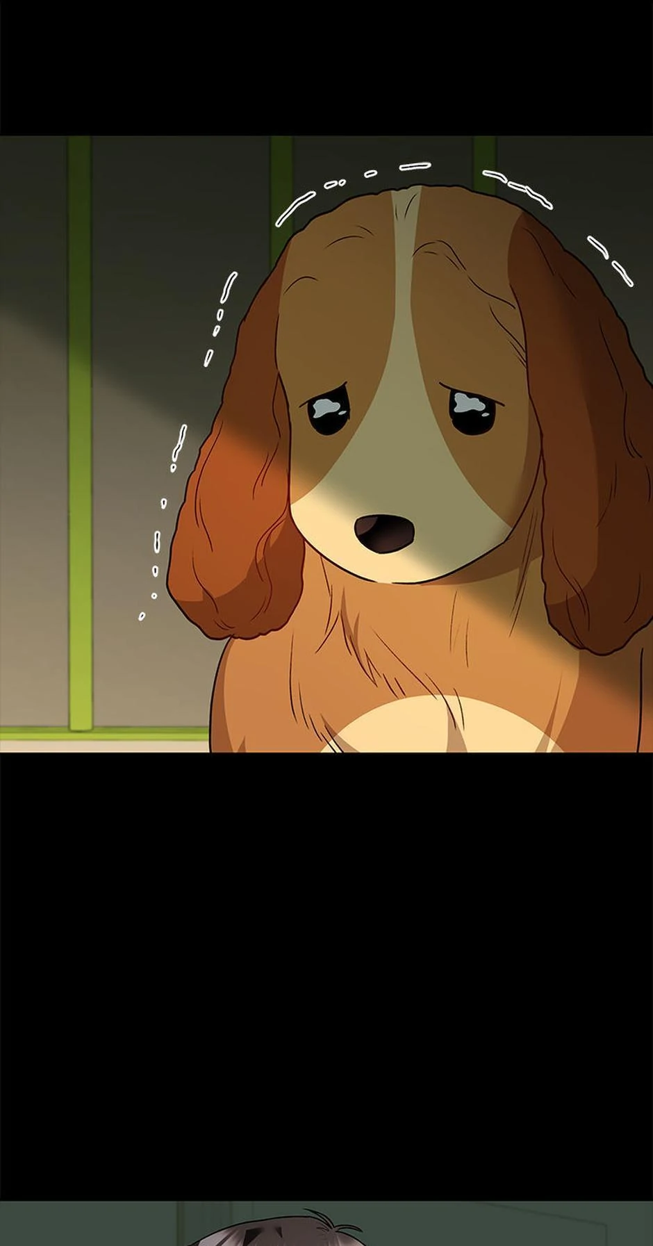 Hello! Veterinarian! Chapter 43 - Page 15