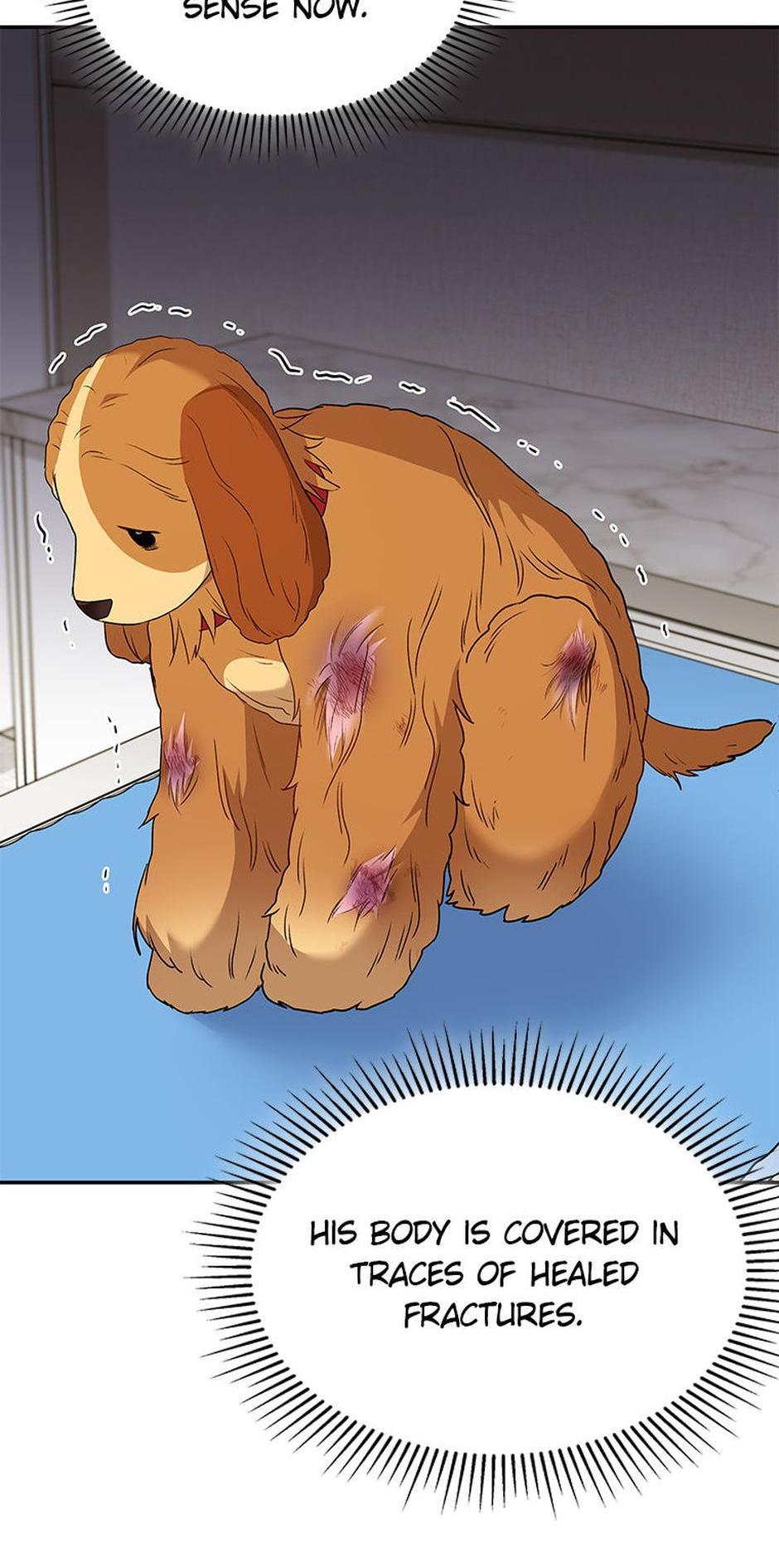 Hello! Veterinarian! Chapter 43 - Page 3