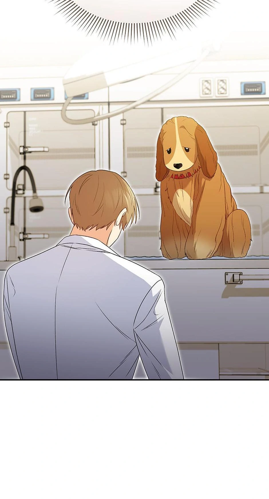 Hello! Veterinarian! Chapter 43 - Page 36
