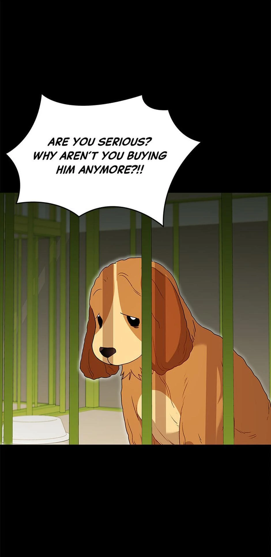 Hello! Veterinarian! Chapter 43 - Page 9