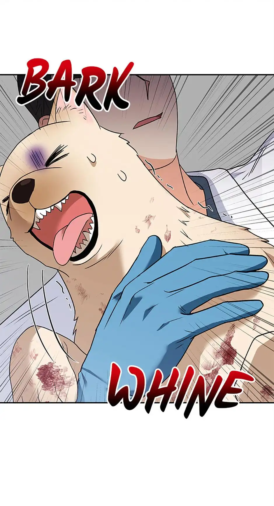 Hello! Veterinarian! Chapter 46 - Page 52