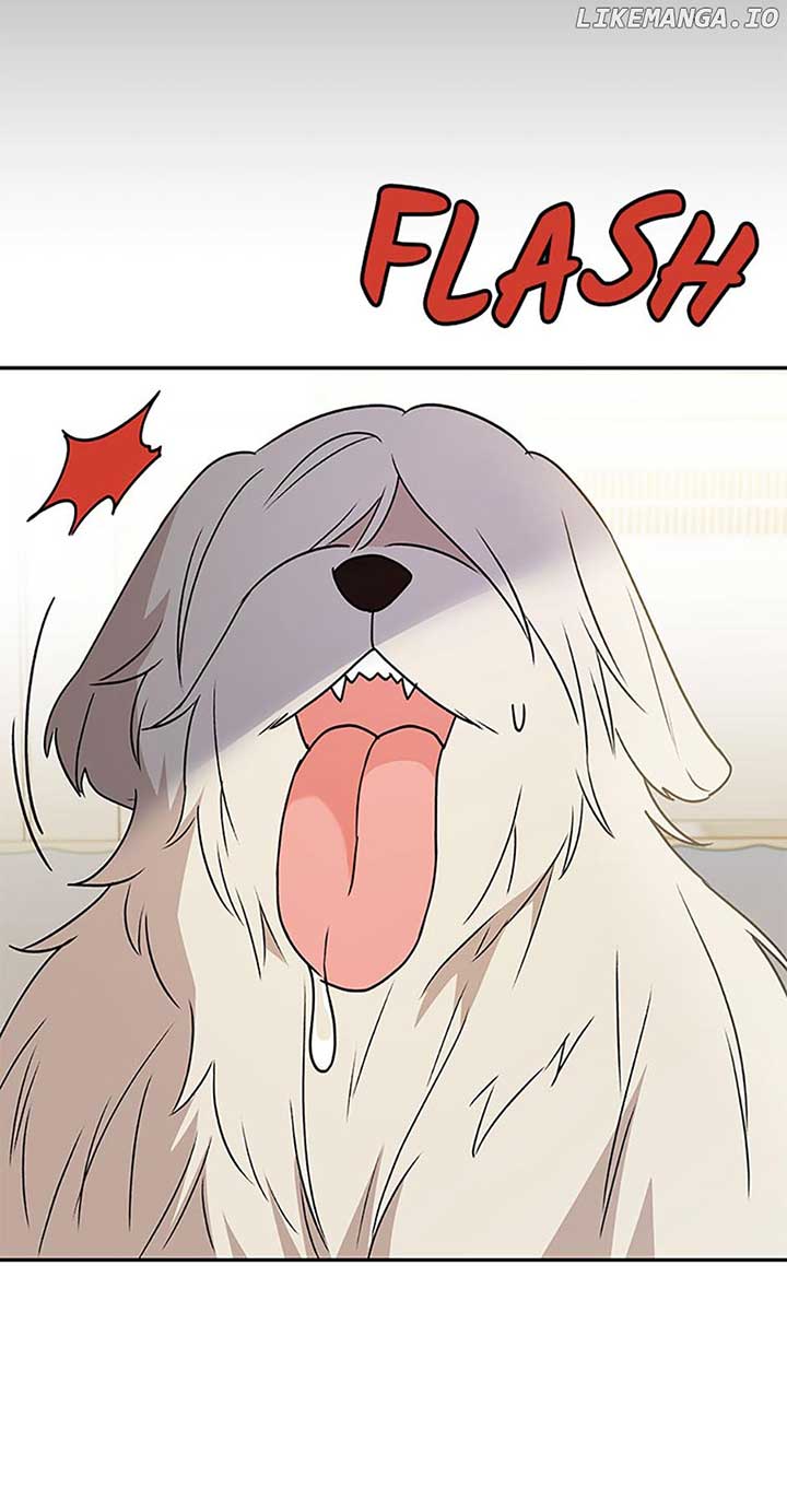 Hello! Veterinarian! Chapter 49 - Page 14