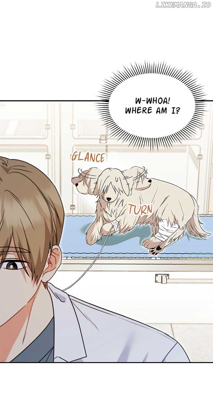Hello! Veterinarian! Chapter 49 - Page 15