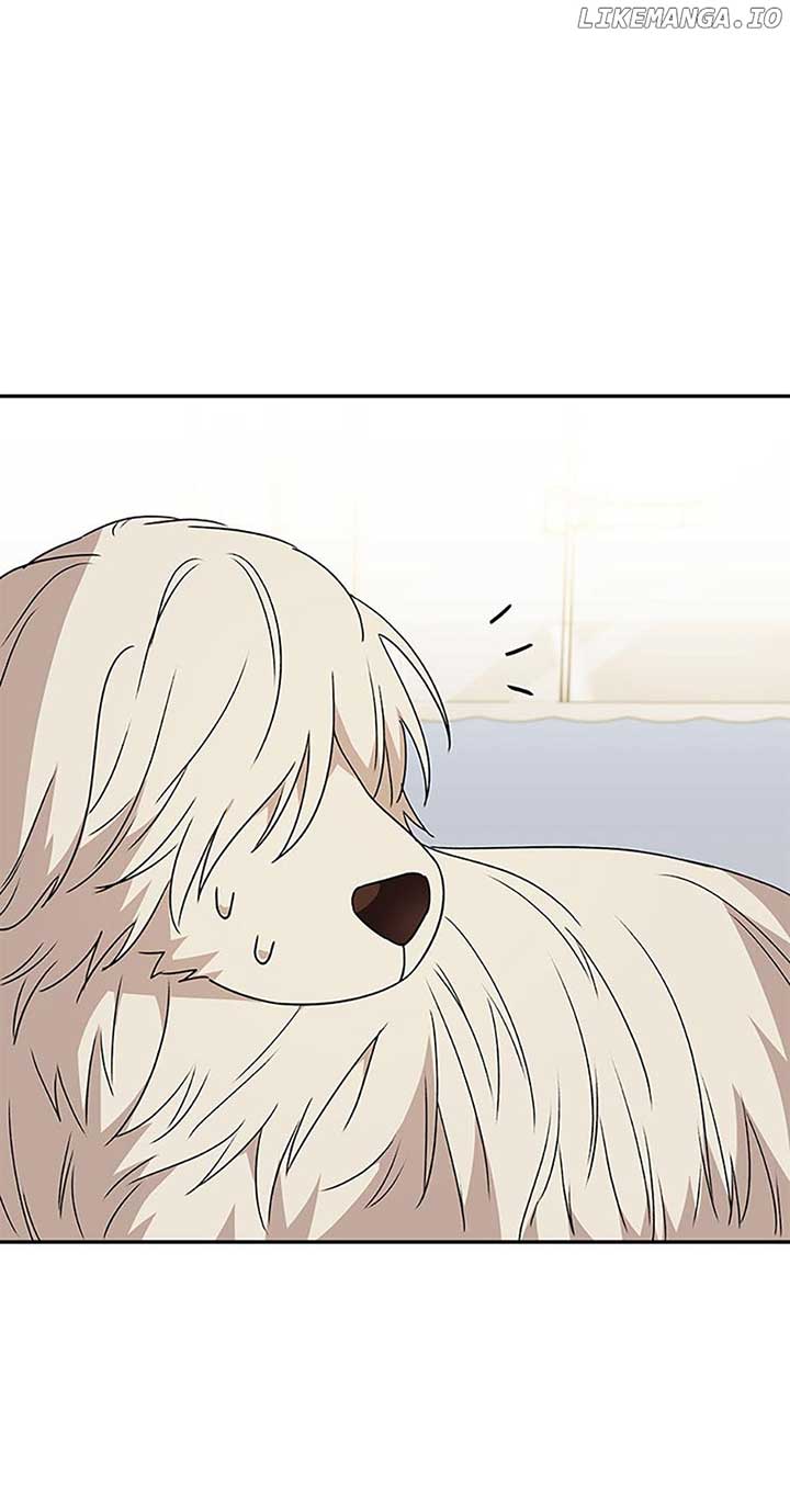 Hello! Veterinarian! Chapter 49 - Page 16