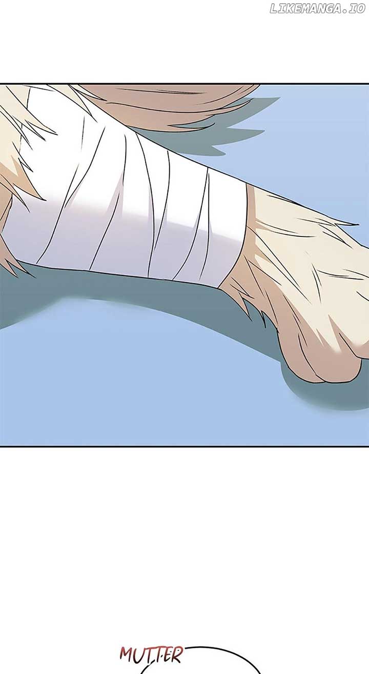 Hello! Veterinarian! Chapter 49 - Page 17