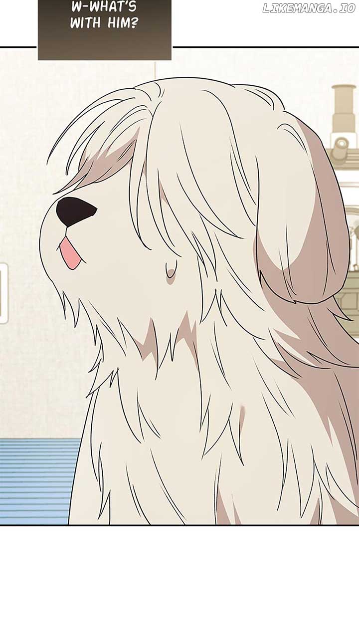 Hello! Veterinarian! Chapter 49 - Page 42