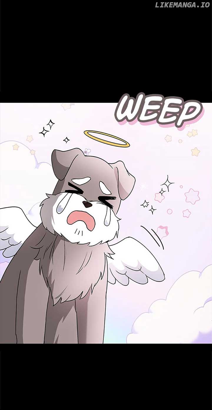 Hello! Veterinarian! Chapter 49 - Page 5