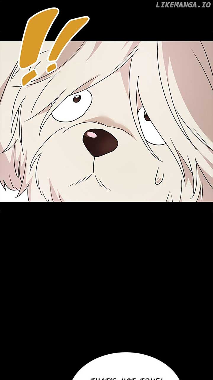 Hello! Veterinarian! Chapter 49 - Page 6