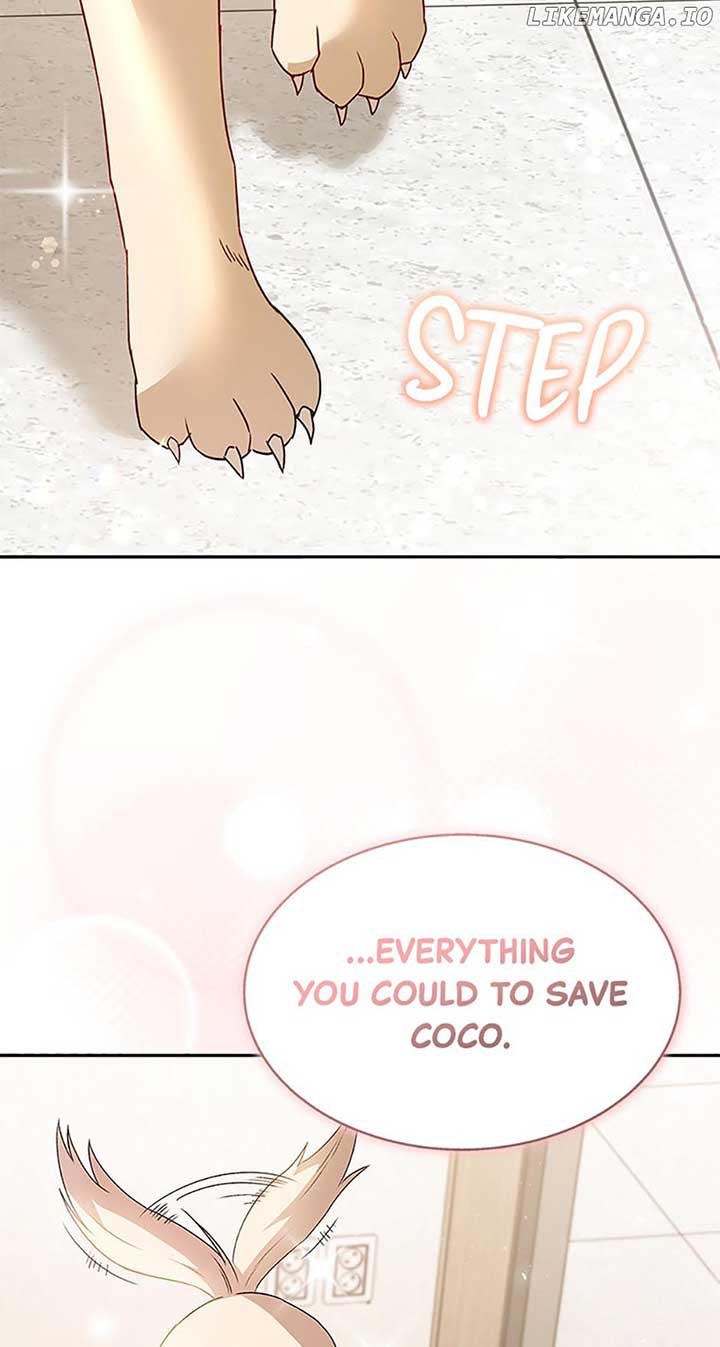 Hello! Veterinarian! Chapter 50 - Page 42